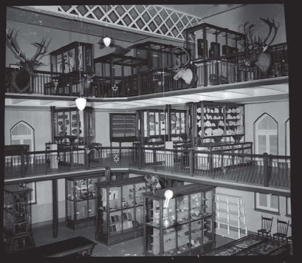 View of the display cases on two mezzanines overlooking the main floor at the Musée du Séminaire de Sherbrooke. Cervidae heads decorate the railings.