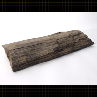 Ce fragment momifié de Métaséquoia a conservé son apparence ligneuse. 