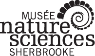Musée de la nature et des sciences de Sherbrooke.Tous droits réservés